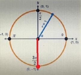 For which value of 0 is 0=-1? A) pi/2 B)pi C)3pi/2 D)2pi-example-1