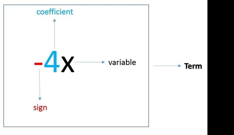 Explain how the words term and coefficient are used in talking about the algebraic-example-1