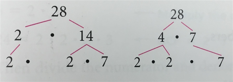 What is the prime factorization of 28?-example-1