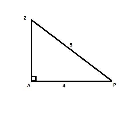 ZAP is a right triangle, with right angle A and cosP = 4/5. What is sin Z?-example-1