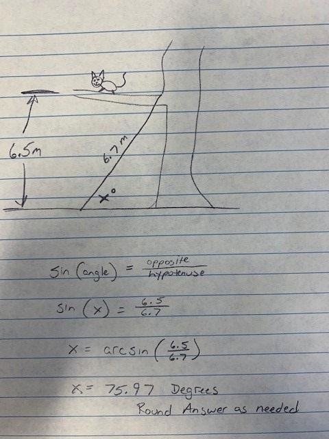 Your cat is trapped on a tree branch 6.5m above the ground. Your ladder is only 6.7m-example-1