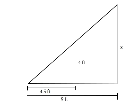 A tree has a shadow that is 9 feet long Otis is 4 feet tall and is standing next to-example-1