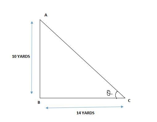 Find the angle of elevation of the sun from the ground when a tree that is 10 yards-example-1