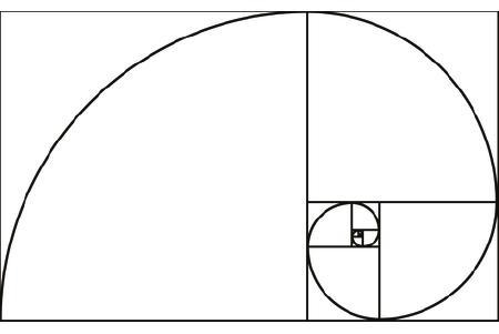 Fibonacci numbers can be found in many places in nature, for example, the number of-example-1