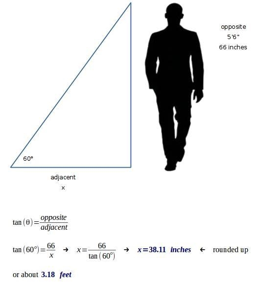 A 5'6" person walking down the street notices his shadow. If the angle of elevation-example-1