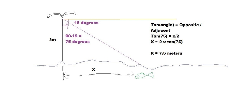 A bird is flying at a height of 2 meters above the sea level. The angle of depression-example-1