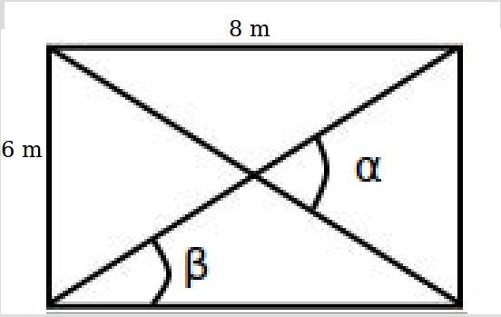 A rectangle measures 6 m by 8m. find the acute angle at which the diagonals intersect-example-1