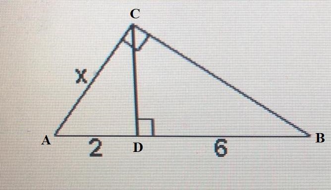 Help please I need help-example-1