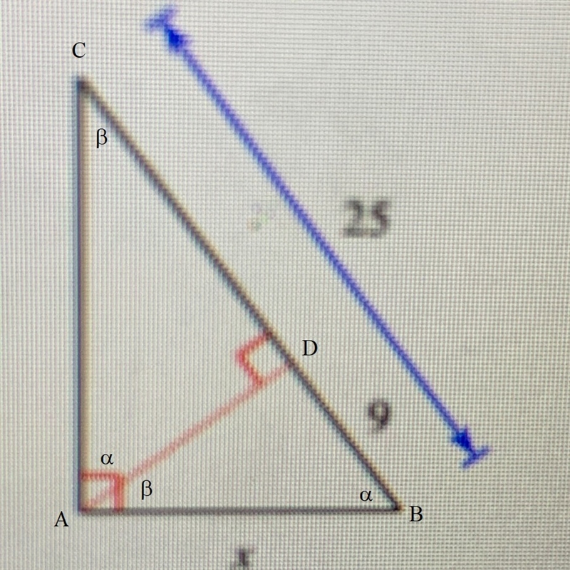 I need to solve for x-example-1