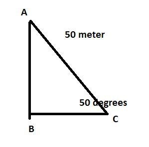 Mary is flying a kite with a 50-meter string. The string is making a 50 degree angle-example-1