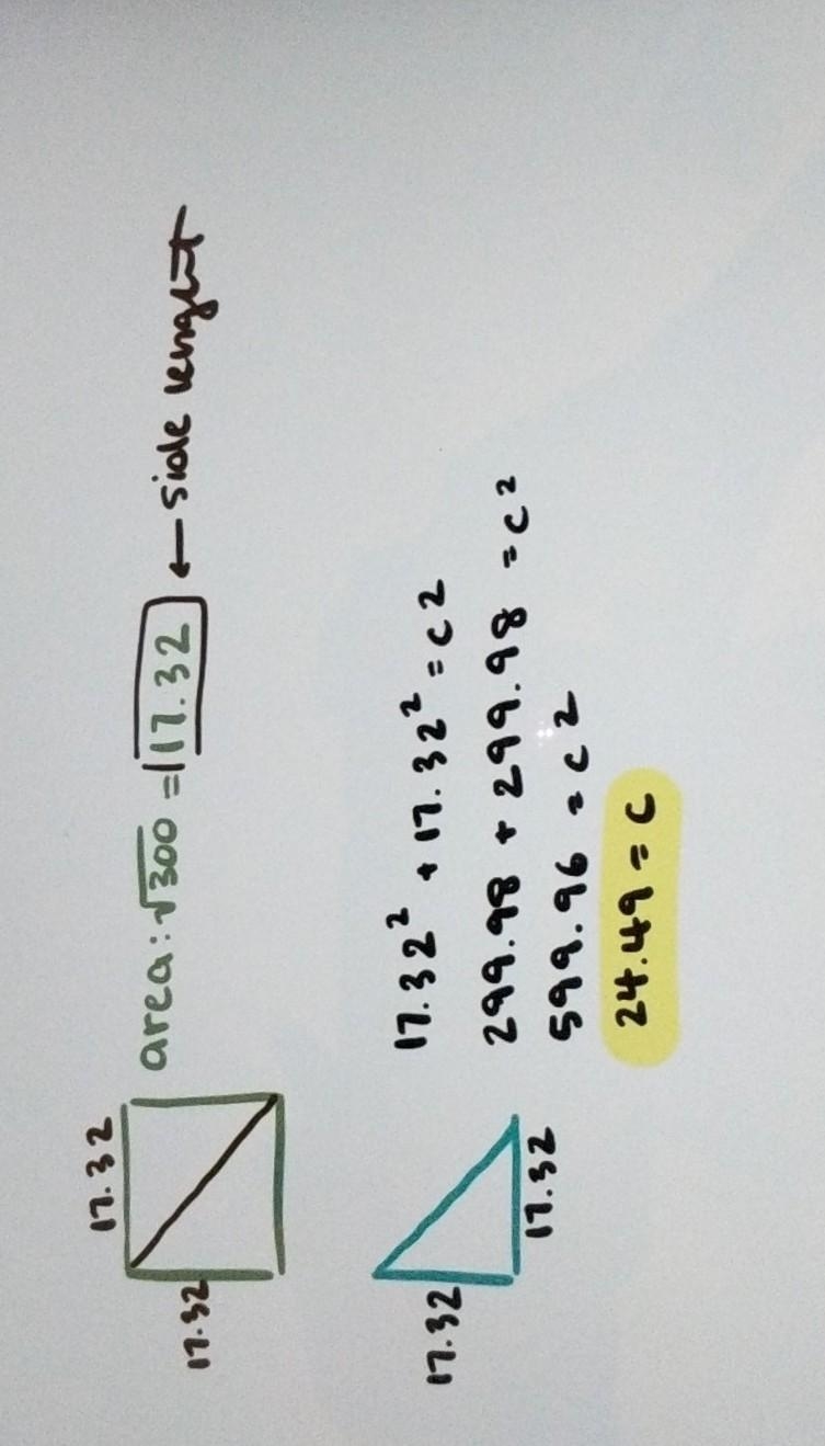 The area of square garden is 300m squared. How long is the diagonal?-example-1