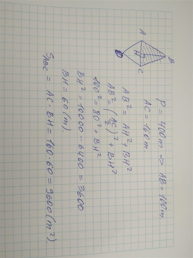 Sanya has a piece of land which is in the shape of a rhombus. She wants her one daughter-example-1