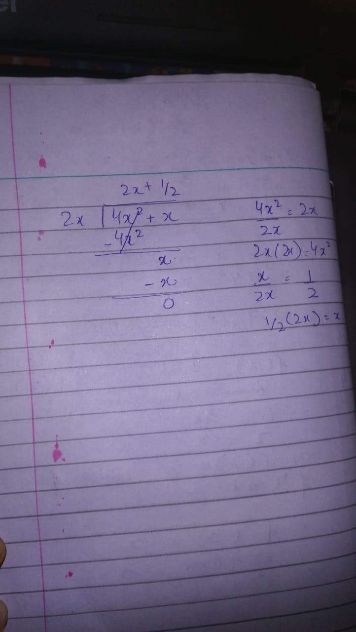 Find the quotient. x + 4 x2 ÷ 2 x-example-1