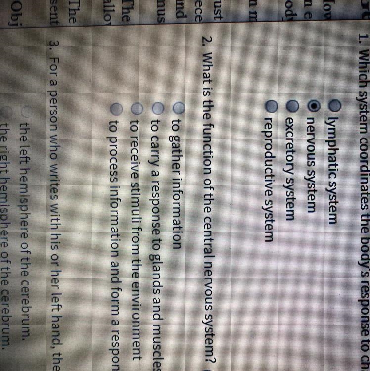 2. What is the function of the central nervous system-example-1