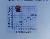 What is the constant rate of change from the graph ? A. 4 B. 2 C. 1/2 D. 1/4​-example-1