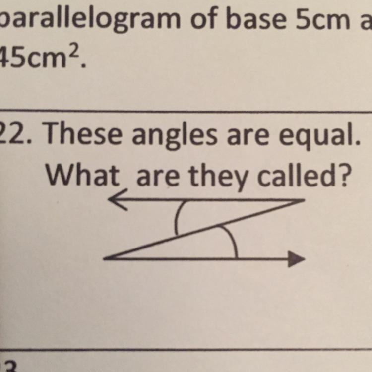 These angles are equal. What are they called-example-1