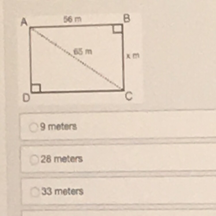 Please Help What is the value of x-example-1