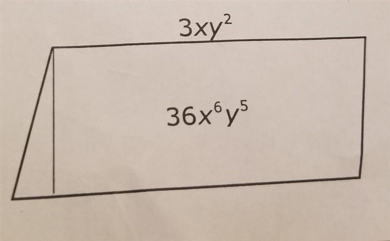 the area of a parallelogram is 36x^6y^5. if the base of the parallelogram is 3xy^2 units-example-1