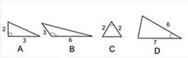 Carlos calculated the missing side length of one of these triangles using the Pythagorean-example-1