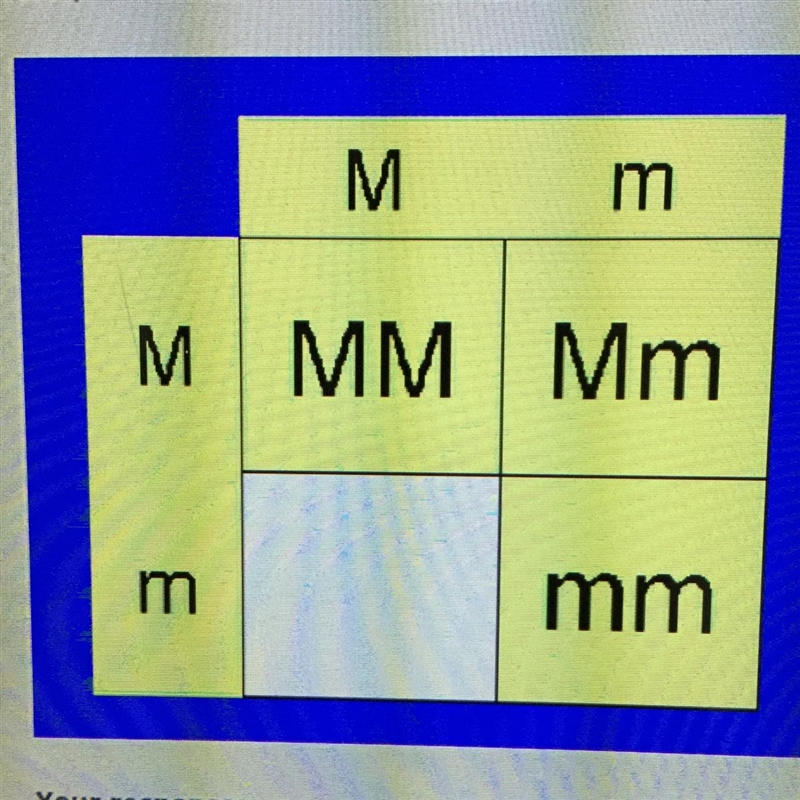 Complete the Punnett square by typing what should go in the white box. Please help-example-1