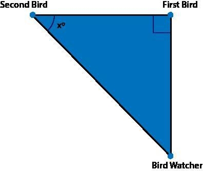 Two birds sit at the top of two different trees. The distance between the first bird-example-1