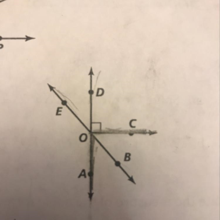 Please help! Name an angle adjacent and congruent to angle AOC ( diagram in picture-example-1