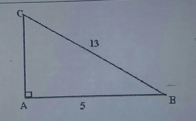 Calculate the length of AC​-example-1