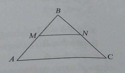 ABC is the middle line of MN in an equilateral triangle. If AB = 8 cm, then find the-example-1