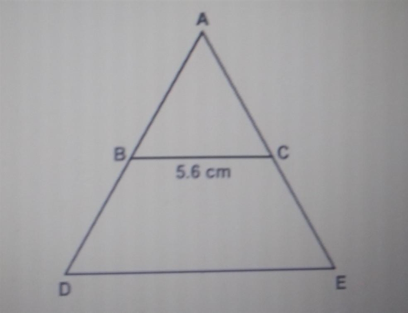 In the triangle, BC is the length of the mid-segment. Find the length of DE.​-example-1