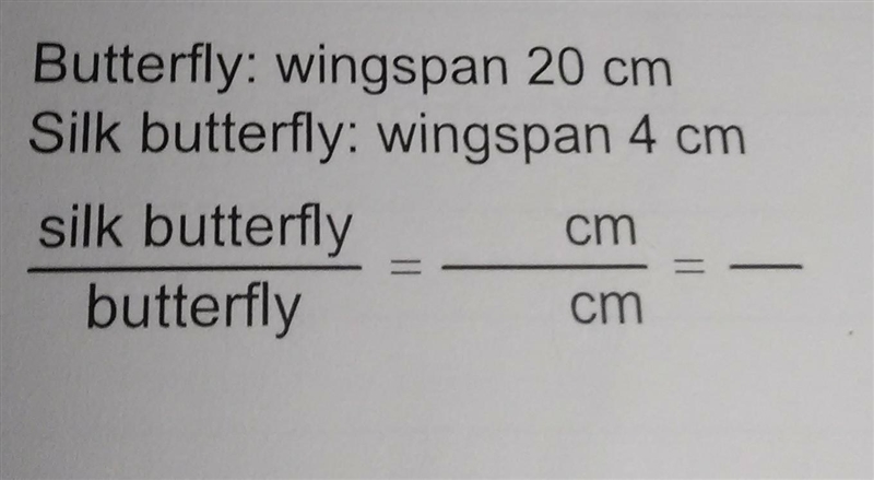 Butterfly: wingspan 20 cm silk butterfly: wingspan 4 cm​-example-1