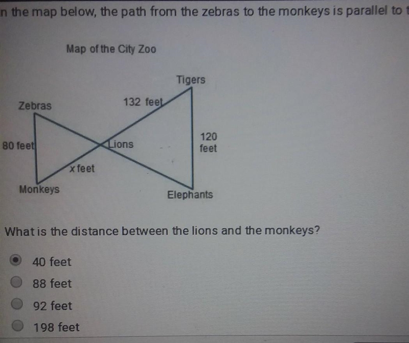 Plz answer ASAP what is the distance between the lions and monkeys?​-example-1