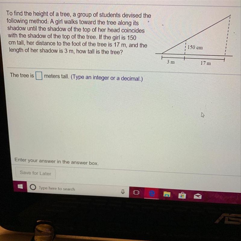 How tall is the tree?-example-1