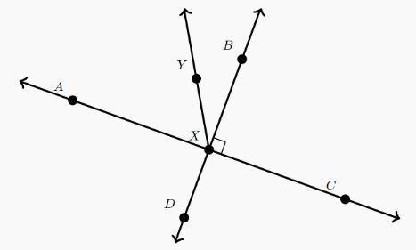 What is the relationship between Angle DXA and Angle AXB? Supplementary Vertical Complementary-example-1