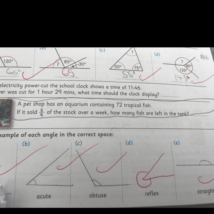 Question pls help!!!!!!!!!-example-1