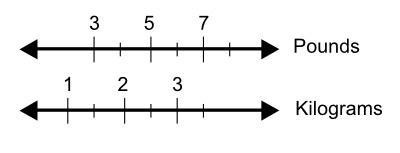 Derek has a bird that weighs 3 pounds. Use the double line diagram below to help you-example-1