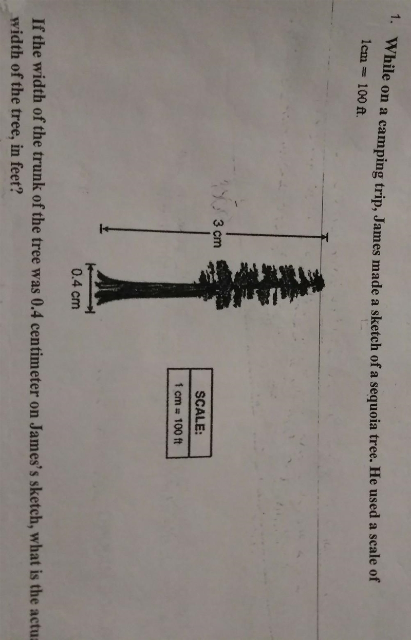 A. 25 B. 40 C. 250 D. 400 Help me please and tha k you​-example-1