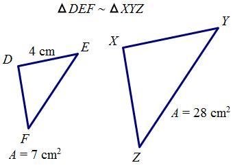 Use the given area to find XY. A. 8 cm B. 12 cm C. 16 cm D. 24 cm-example-1