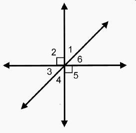 Which statement is true about angles 3 and 6? They are adjacent angles. They are complementary-example-1