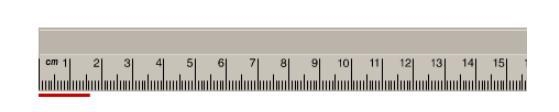 What is the length of this ruler to the correct degree of precision? 16 mm 1.61 cm-example-1