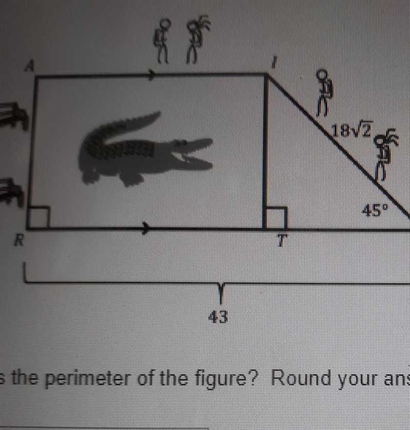 What is the perimeter of the figure​-example-1