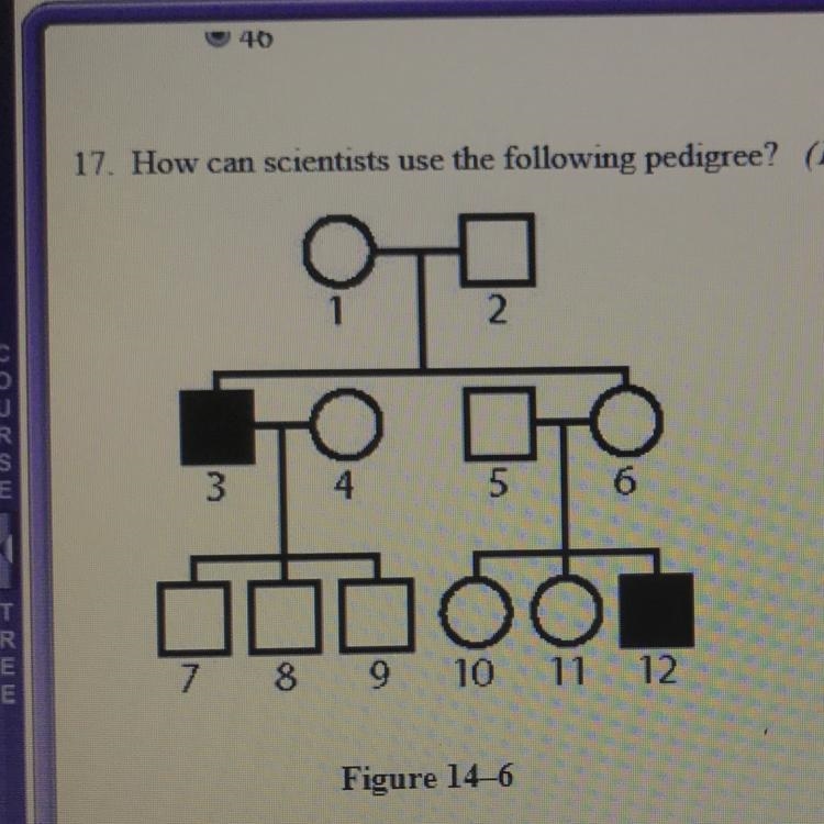 How can scientists use the following pedigree? A. to confirm the principle of independent-example-1