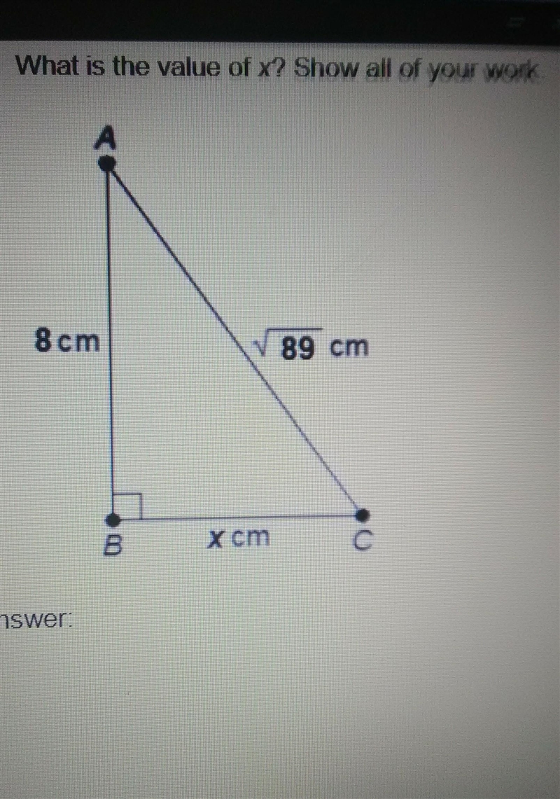 What is the value of x? show all of your work!​-example-1