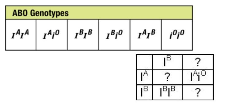 What is the blood type of the unknown parent? A. IBiO B. IBIB C. IBIA D. none of the-example-1