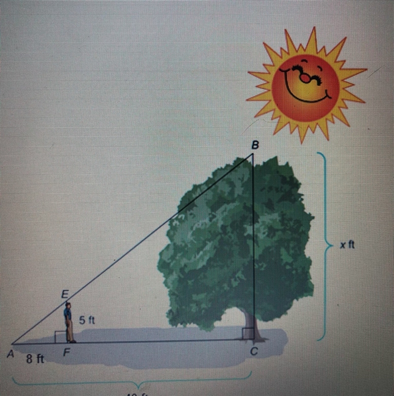 Need help ASAP. The diagram shows 5ft student standing near a tree. The shadow of-example-1