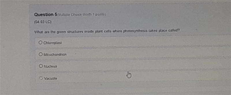 What are the green structures inside plant cells where photosynthesis takes place-example-1