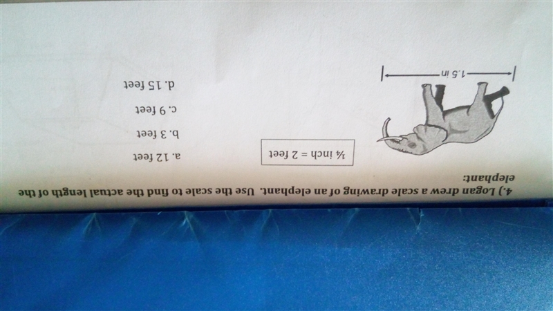 4. Use the scale to find the actual length of the elephant: see image below-example-1