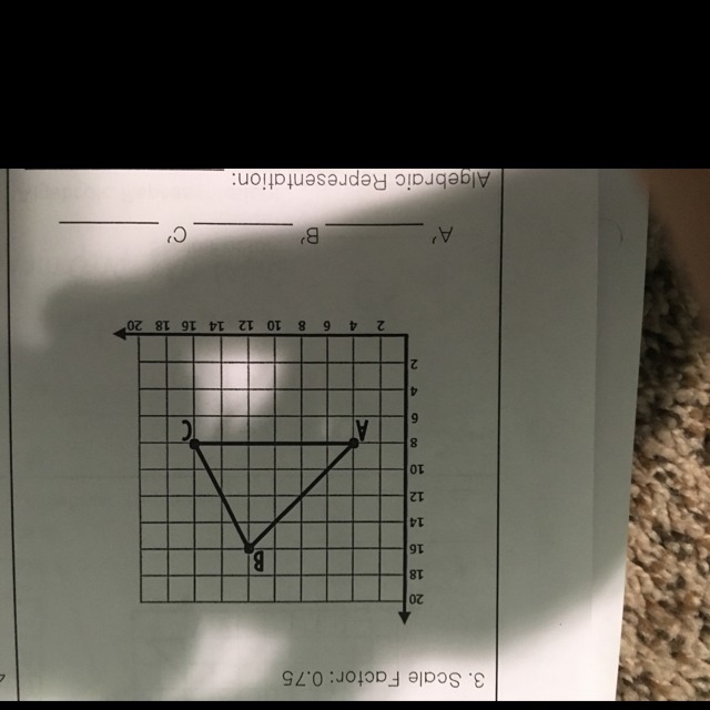 Really need help please-example-1