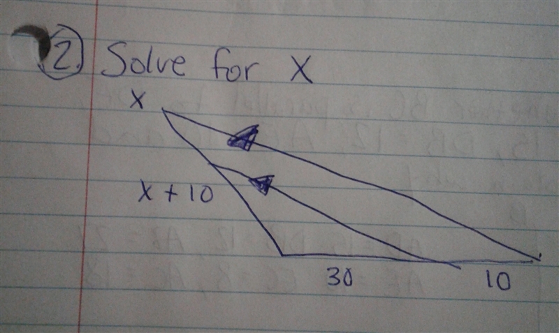 Solve for x PLEASE and THANK YOU-example-1