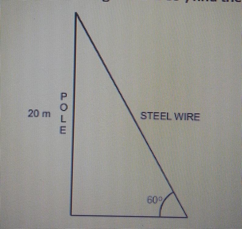 A wooden pole is 20 m high. A steel wire is tied to the top of the pole and fixed-example-1