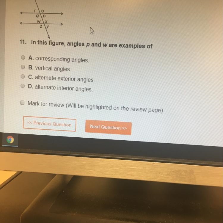 In this figure angles p and w are examples of what-example-1